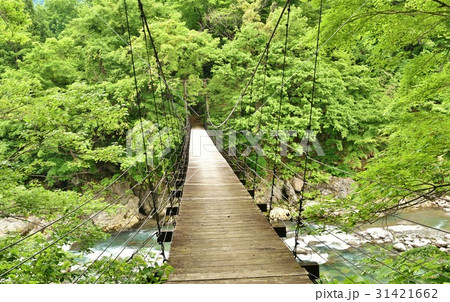 新緑の秋山郷見倉橋の写真素材