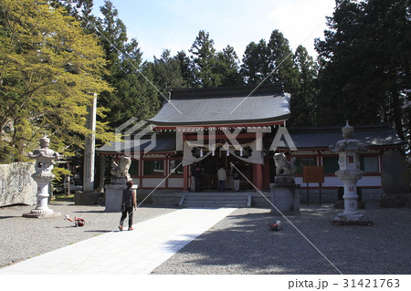 春の冨士御室浅間神社にて 31421763