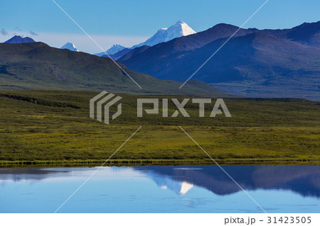 Mountains in Alaska 31423505