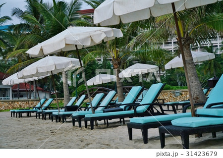 Beachchairs on the Beach（ビーチのブランコ） 31423679