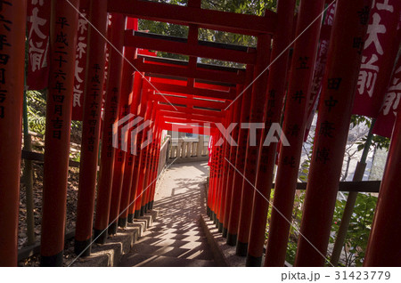 鳥居 鳥居 31423779
