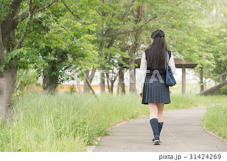 通学路の女子高生 後ろ姿の写真素材