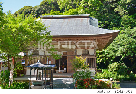 鎮国寺 鎮国寺 31424702
