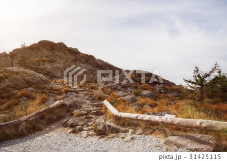 A walk around great arber in Bavaria 31425115