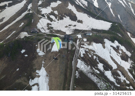 パラグライダー 31425615