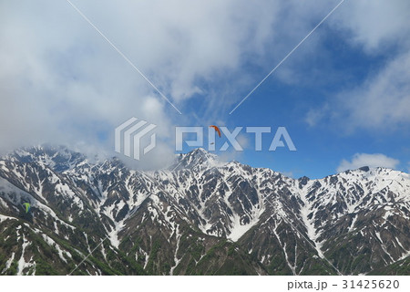 パラグライダー 31425620