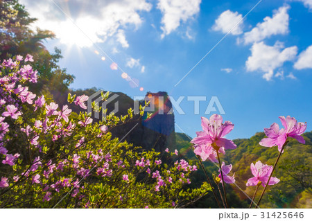 鎌倉峡の名物岩 百丈岩を見上げる 兵庫県神戸市北区道場町 の写真素材