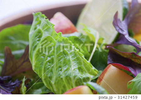 野菜 ベジタブル 青菜 31427459