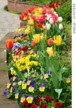 横浜・東横フラワー緑道 31427938