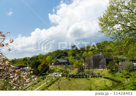 さがみ湖リゾート　プレジャーフォレスト　広大な眺め　神奈川県　相模原市 31428403