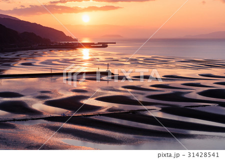 御輿来海岸 31428541