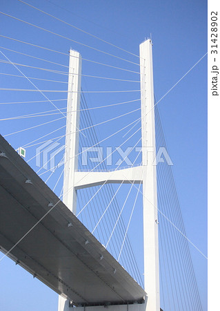 ながさき女神大橋道路 31428902