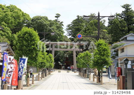 茨城 鹿嶋 鹿島神宮参道 茨城 鹿嶋 鹿島神宮参道 31429498