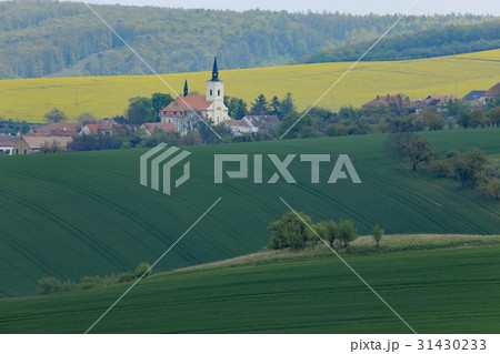 モラビアの大草原 31430233