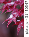 紅葉と雪 31430347