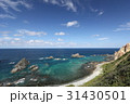 島武意海岸 31430501