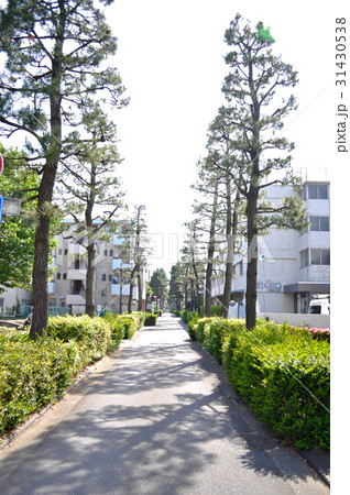 神奈川県東神奈川の写真 神奈川県東神奈川の写真 31430538