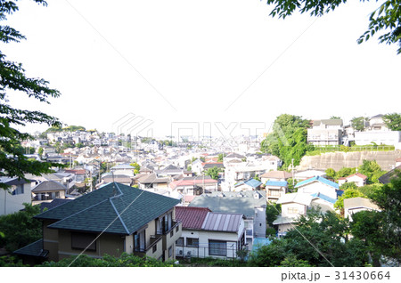 神奈川県東神奈川孝道山付近の写真 神奈川県東神奈川孝道山付近の写真 31430664