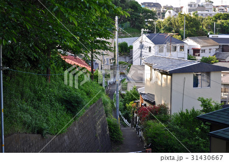 神奈川県東神奈川孝道山付近の写真 31430667