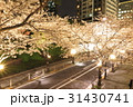 六本木の桜夜景 31430741