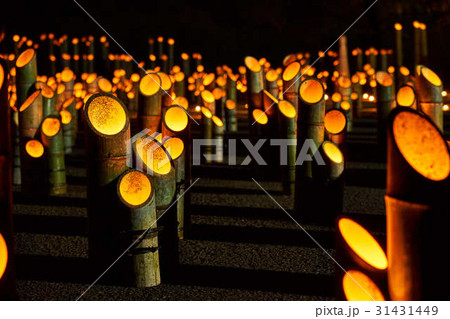 大分県竹田市　竹楽 31431449