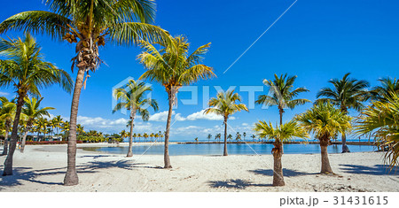 The Round Beach at Miami Florida 31431615