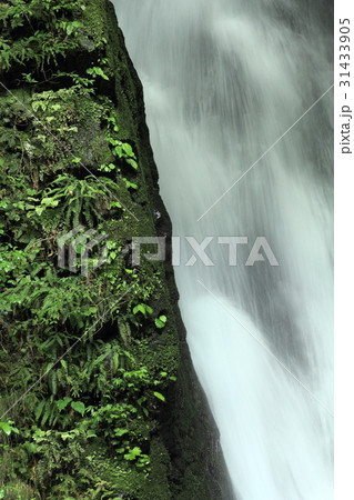 海沢渓谷の大滝 海沢渓谷の大滝 31433905