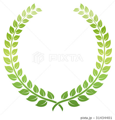 月桂樹 月桂樹 31434401