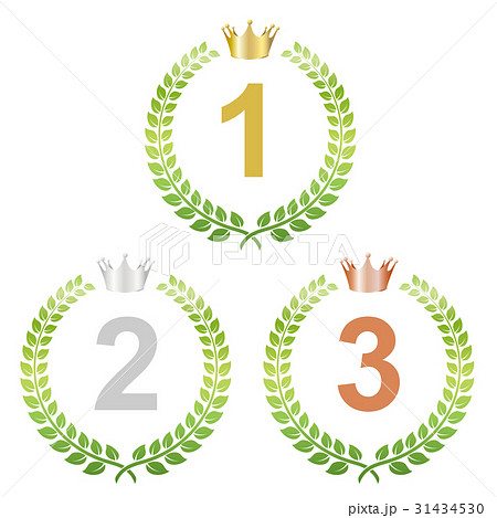 月桂樹（ランキング） 31434530