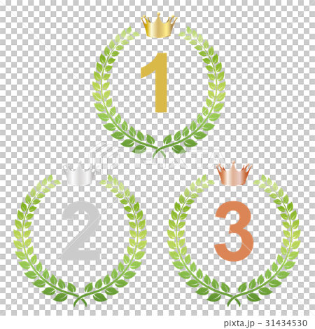 月桂樹（ランキング） 31434530