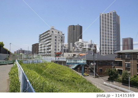 川口市・舟戸学園前の土手 31435369