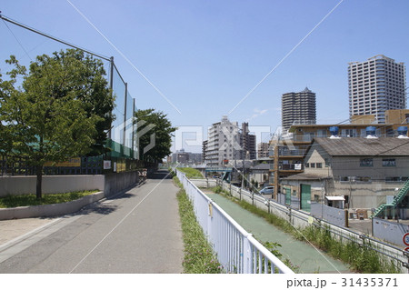 川口市・舟戸学園前の土手 川口市・舟戸学園前の土手 31435371