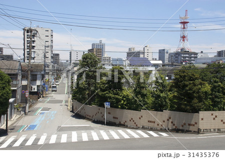 川口市・舟戸学園前の土手 31435376