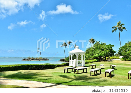 ハワイの休日 ハワイの休日 31435559