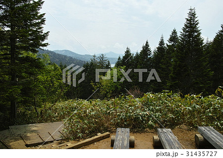 尾瀬　沼山峠展望台より望む尾瀬沼と至仏山 31435727