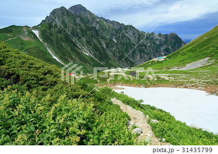 剱沢から見る夏の剱岳 31435799