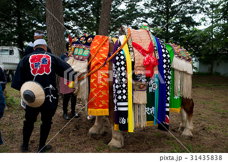 チャグチャグ馬コ 31435838