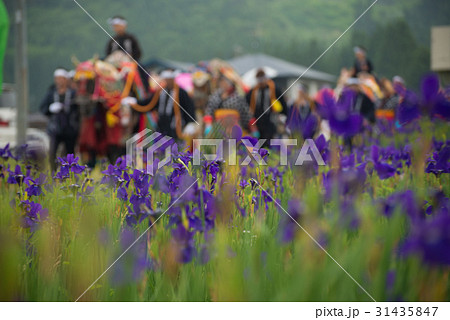 あやめとチャグチャグ馬コ 31435847