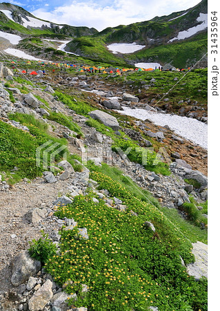 夏の北アルプス・剱沢キャンプ場 31435964