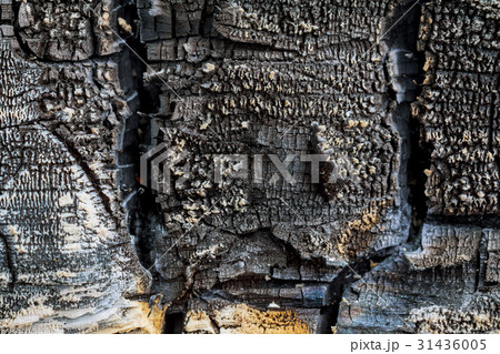 Wooden texture, wooden background. Wooden texture, wooden background. 31436005