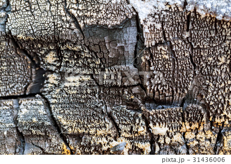 The scorched wooden background. The scorched wooden background. 31436006