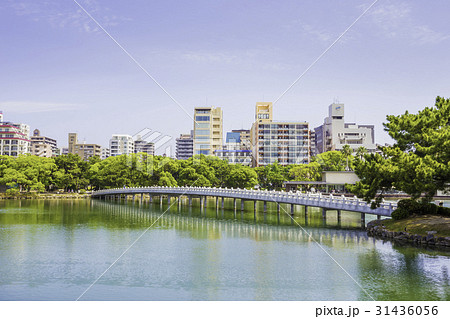 水と緑のオアシス 大濠公園 水と緑のオアシス 大濠公園 31436056