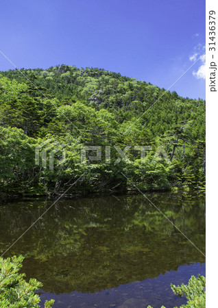 夏山のイメージ 31436379