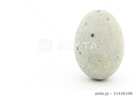 ピータン：Century egg 31436396