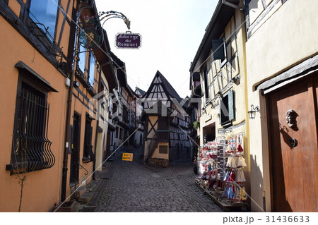 エギスアイム エギスアイム 31436633