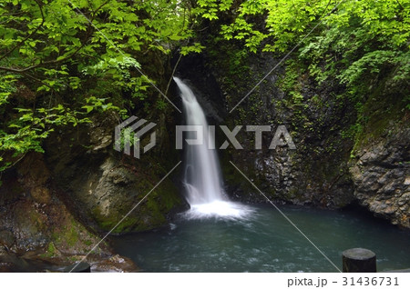 光明の滝 光明の滝 31436731