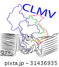 Business Cooperation in Southeast Asia CLMV 31436935
