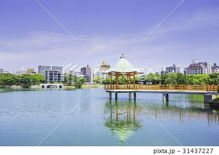 水と緑のオアシス  大濠公園 31437227