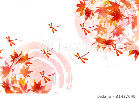 紅葉 もみじ 秋 背景 のイラスト素材 31437649 Pixta