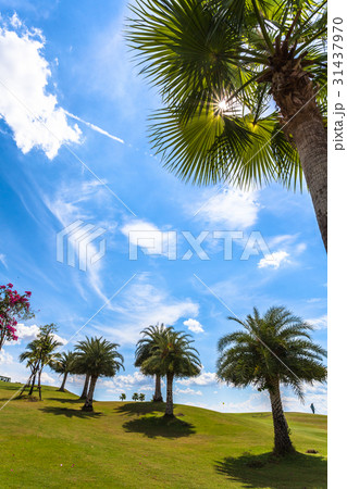 white clouds in blue sky white clouds in blue sky 31437970